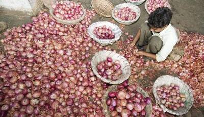 Onion exports fall 10% to 6.95 lakh tonnes in Apr-Dec