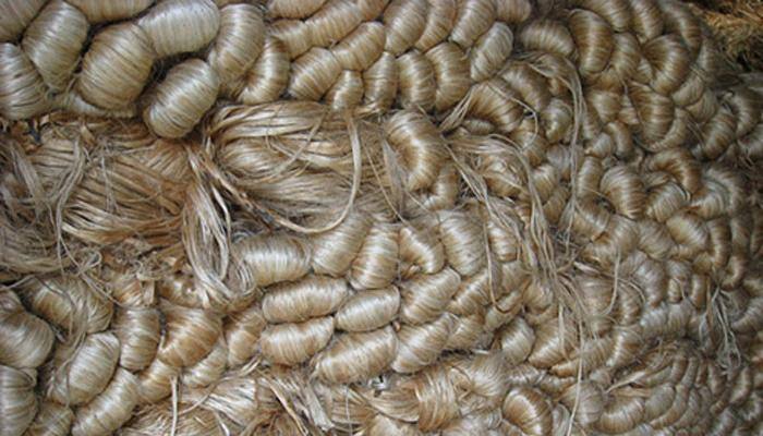 Job crisis in jute mills may further aggravate