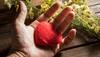 How 'single' are you – take a test to know