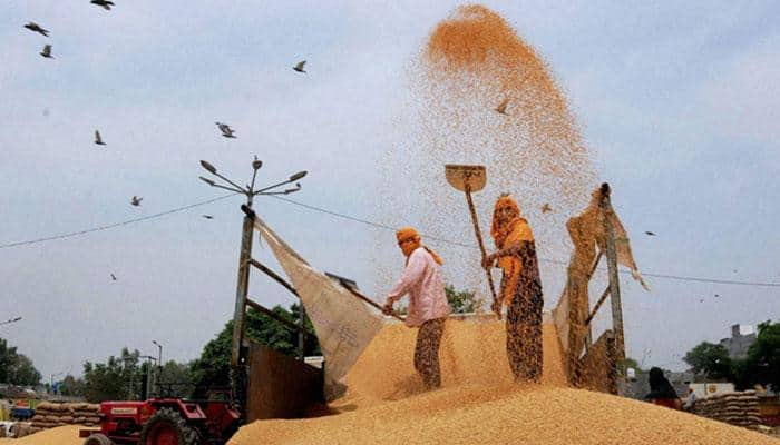 Govt extends wheat import duty till June on higher production