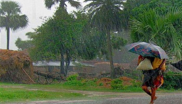 'India to receive a little more than normal rainfall this year'