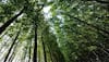 Green body raises concern over forest fires in Western Ghats