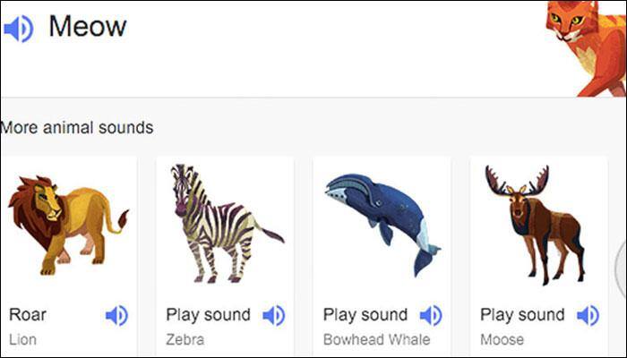 Now, you can teach your kids about animal sounds using Google search!