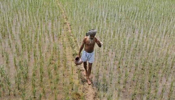 Govt taps KVKs to create awareness on crop insurance scheme