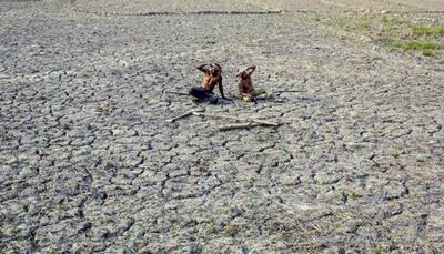 SC raps Centre, says it can't turn a blind eye towards drought-hit states