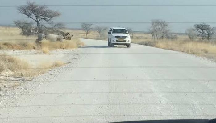 MUST WATCH: Angry Rhino rams into SUV with tourists inside!