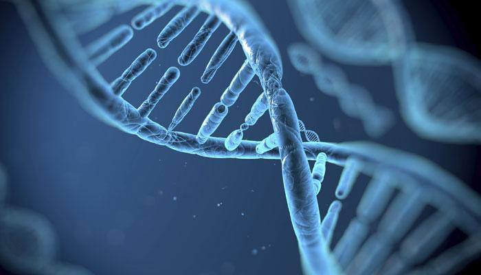 Study shows how oxygen can kill DNA