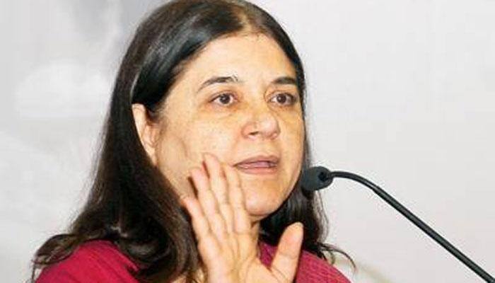 Congress criticises Maneka Gandhi for making &#039;insensitive&#039; marital rape remark