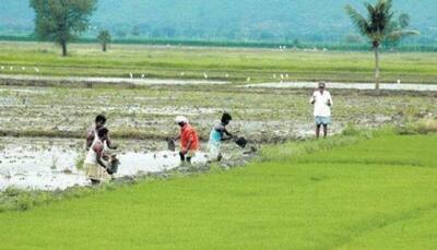 Farm sector stocks in focus on hopes of good monsoon 