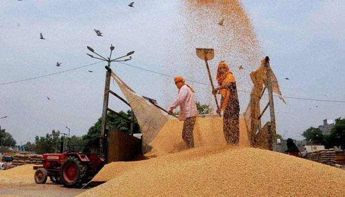 India&#039;s wheat imports to hit decade high as weather woes curb output: Survey