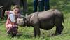 Rhino killed in Kaziranga National Park post Royal couple's visit
