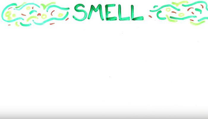 Hahaha! Could you outrun from a passing intestinal gas? Watch this hilarious video to know how