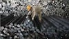 Not just China: Japan, South Korea push cheap steel as world reels