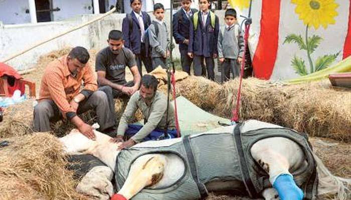 Shaktiman&#039;s death: Here&#039;s how politicians reacted