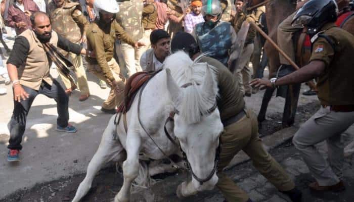 RIP Shaktiman: Video of incident that led to the brave police horse&#039;s death - WATCH