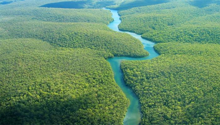 600-mile long coral reef discovered at the Amazon!