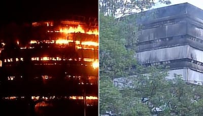 Massive fire destroys National Museum of Natural History in Delhi; govt says 'real loss'