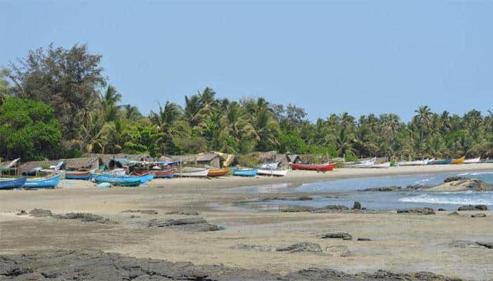 Goa’s beautiful Morjim Beach – In Pics