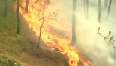 Forest fires rage in Uttarakhand; three NDRF teams deployed