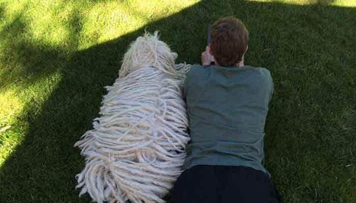 Check out! Mark Zuckerberg shares adorable images of his dog Beast!