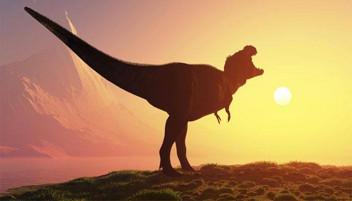 World's largest dinos were born self-reliant