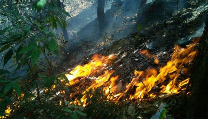 After Uttarakhand, now Himachal faces the brunt of forest fires, 50 ha of woodland destroyed