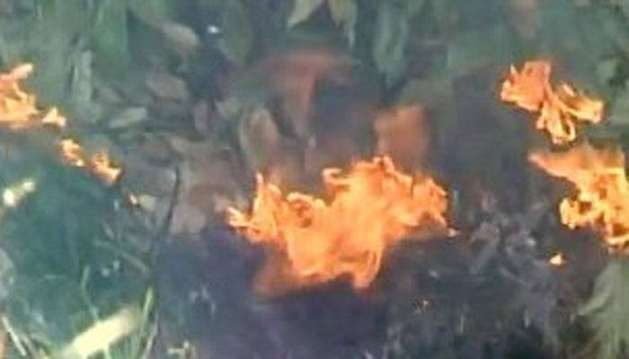 After Uttarakhand and Himachal Pradesh, forest fire now rages in J&amp;K