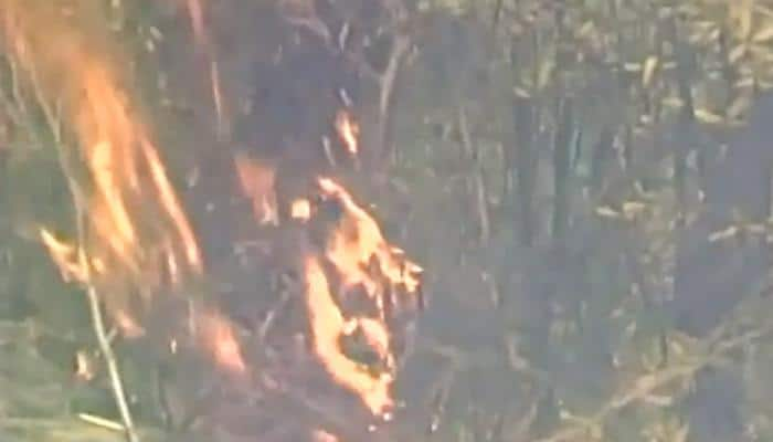 Uttarakhand forest fire: Four arrested, says Prakash Javadekar