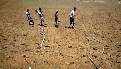 Shocking! Water tankers meant for people being sold to businessmen for profit in drought-hit Maharashtra's Beed