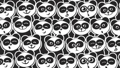 Spot the hidden Panda in picture! Click here