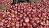 Centre buys 2,300 tonnes of onion so far to build buffer