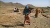  MNREGA works to be assessed by army of 8,000 social auditors 