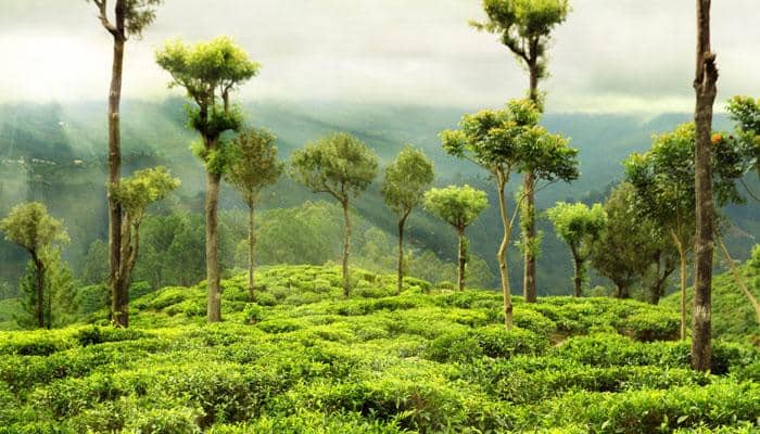 Summer special: Here’s what you can do in Darjeeling