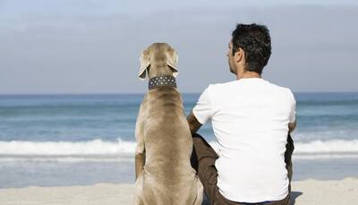 Your pet dog may help you cope with rejection!