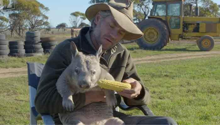 When Pete the Wombat farted live on air – Watch the hilarious moment!