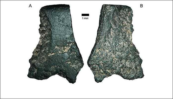 World's oldest axe discovered in Western Australia - Watch!