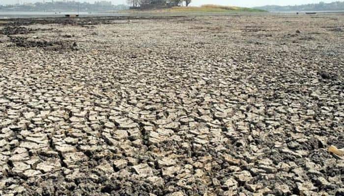 India well-placed to maintain high growth despite drought, external pressures: UN analysts