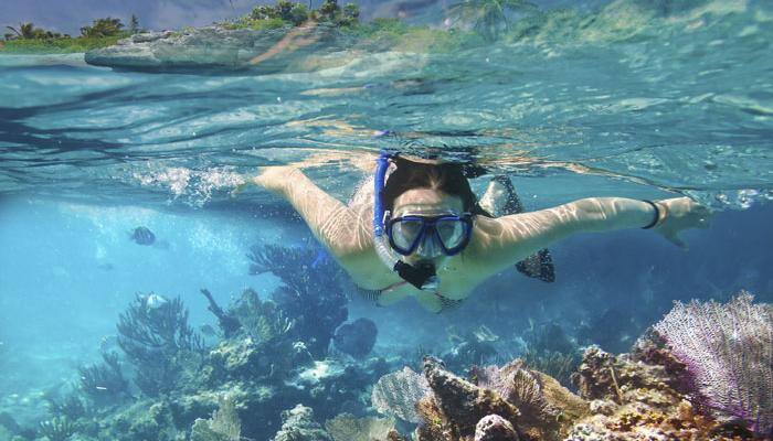 Want to try snorkelling and scuba diving? Head to this coral beach in Maharashtra