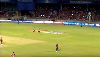 IPL VIDEO: Street dog entertains cricketers, spectators during Delhi v Pune game!