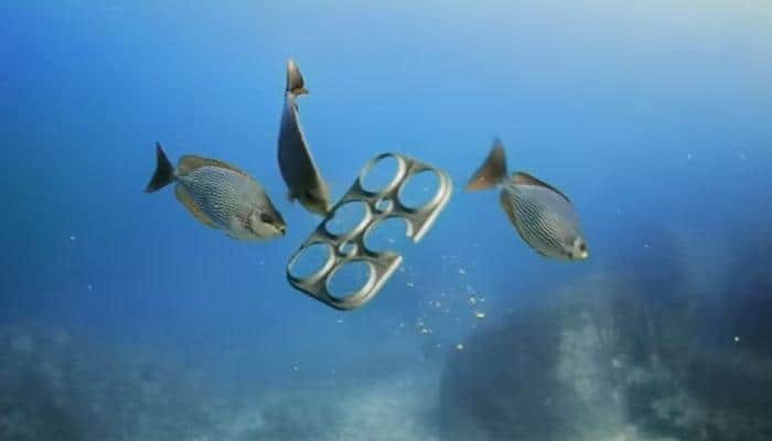 Six-pack beer rings no longer harmful to marine life!- Watch