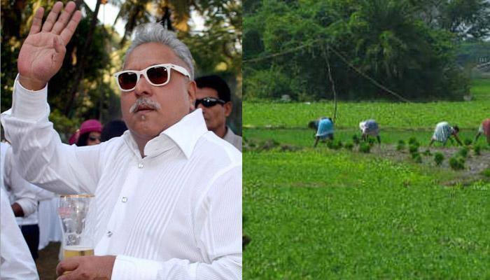 A Pilibhit-based farmer is Vijay Mallya&#039;s guarantor?