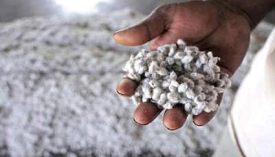 Monsanto jumps 7% on withdrawal of Bt cotton notification