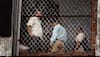 Batla House encounter was not fake: Shivraj Patil