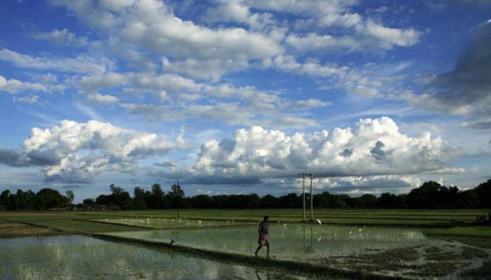 Good rains to damp agricultural inflation, support Aug 9 RBI rate cut: BofA