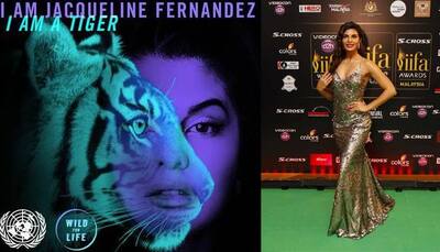'I am a Tiger. What are you?' asks Jacqueline Fernandez!