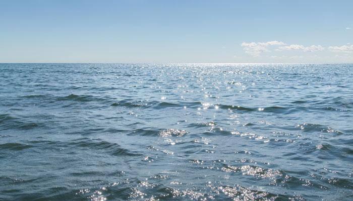 3D model demonstrates how sea waves transport materials within aquatic ecosystems