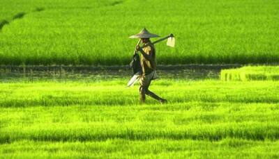 Govt bullish on farm sector growth on hopes of good monsoon