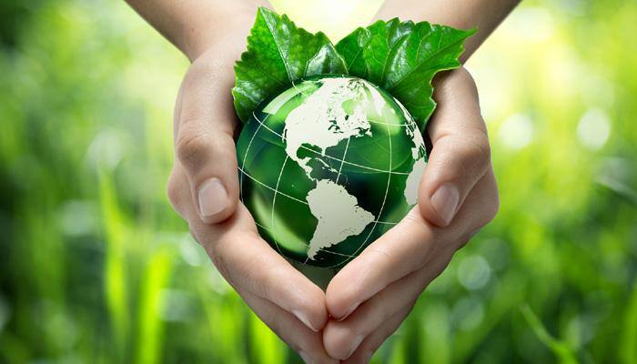 World Environment Day: ZEE, Bhamla Foundation unite for environmental awareness