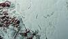 Dwarft planet