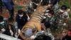 Thai monk intercepted while trying to escape Tiger Temple with tiger skins and fangs!